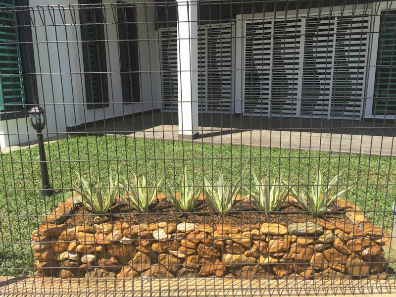 Nursery Kota Bertam (Lanskap Nursery Kota) gallery