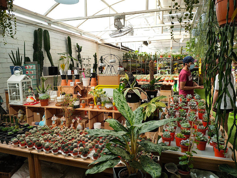 Pudu Ria Florist Trading Sdn Bhd (KL HQ - Chan Sow Lin) gallery