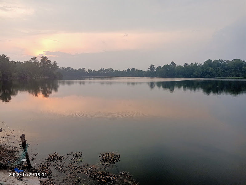 Perak Agro Nursery Sdn Bhd gallery