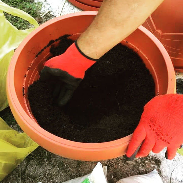 Hybrid Eco-Gardens gallery