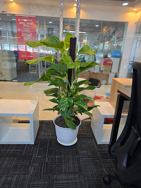 De Signature Garden Centre gallery