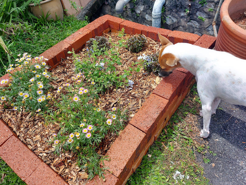 Ground Control Sdn Bhd gallery