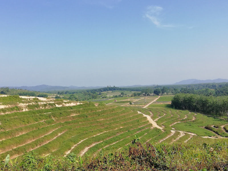 RISDA Semaian & Landskap Sdn Bhd gallery