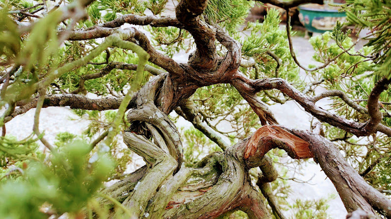 Syarikat Pertanian Wai Seng