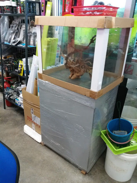 Jit Sheng Aquarium gallery