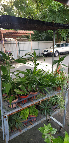 D ROSLEE ENTERPRISE gallery