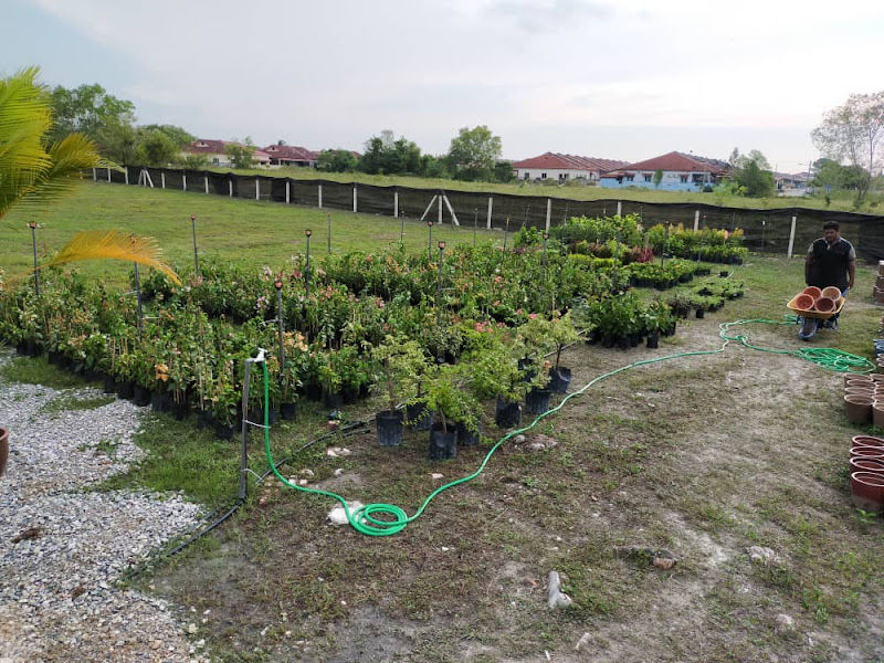 D'Awan Nursery gallery