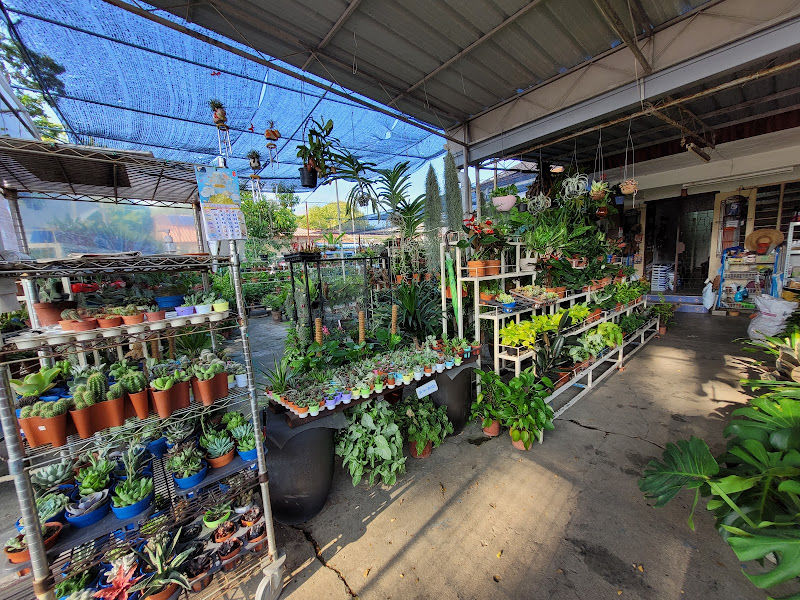 Gorgeous R&S Garden gallery