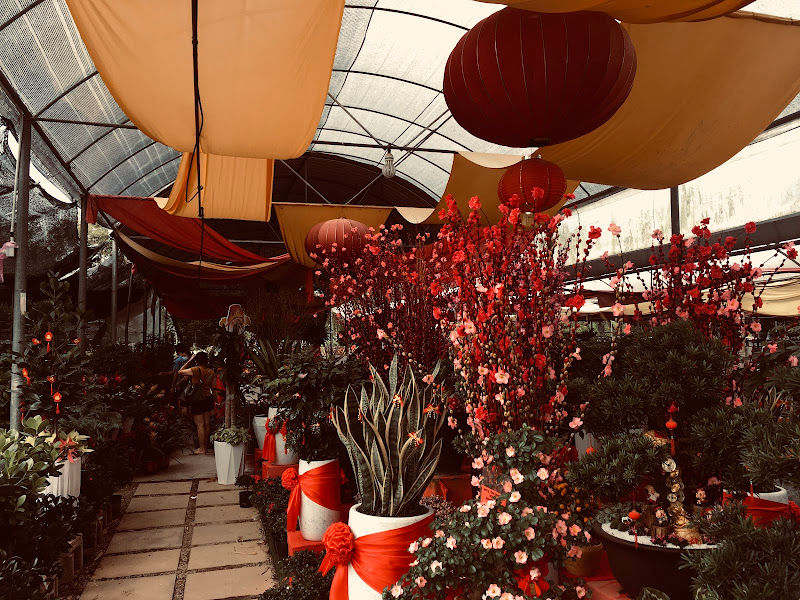 Tan Kok Leyong Nursery Sdn Bhd, 陈國樑樹種場有限公司 gallery