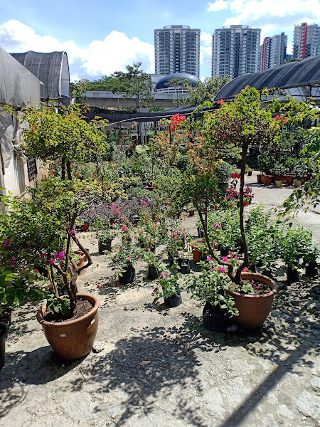 Potters Garden Sdn Bhd gallery