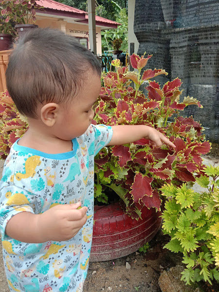 Nursery cu timah gallery