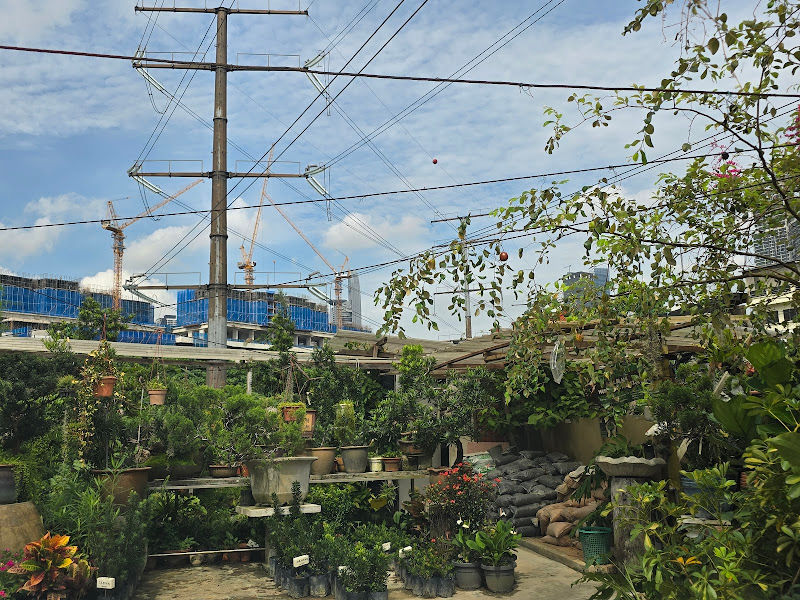 Hua May Nursery gallery