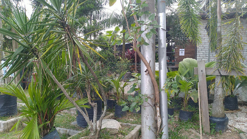 Garden Center Nursery gallery