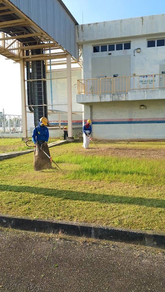 Green Wealth Nursery