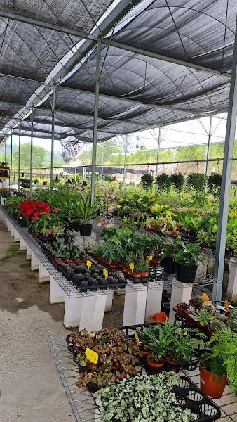 Winstrong Nursery