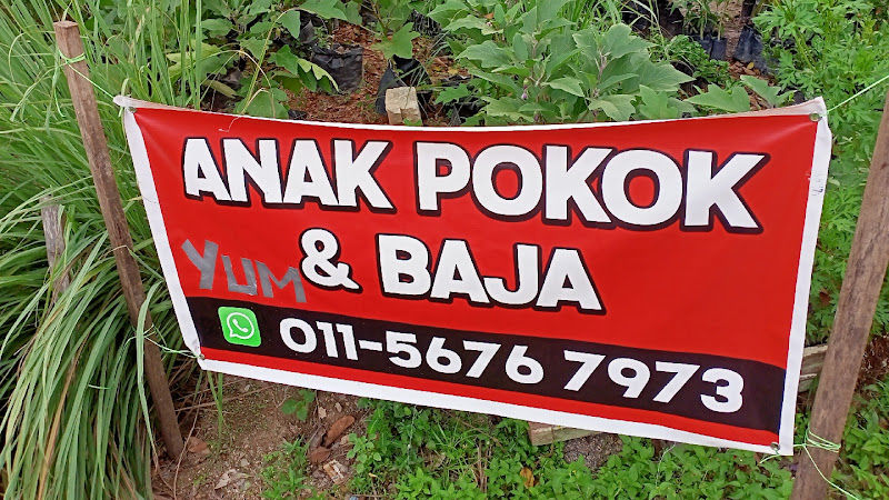 YUM NURSERY & FAMILY