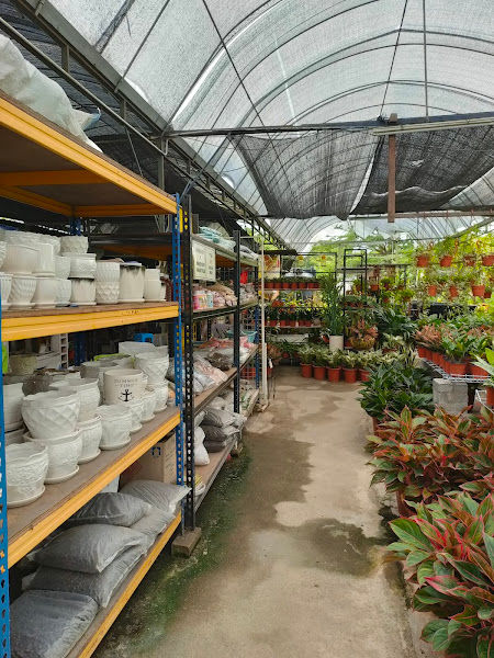B Garden nursery farm 花蝴蝶 gallery