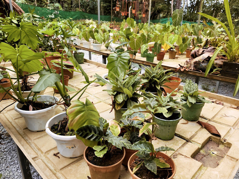 The Habitat Nursery gallery