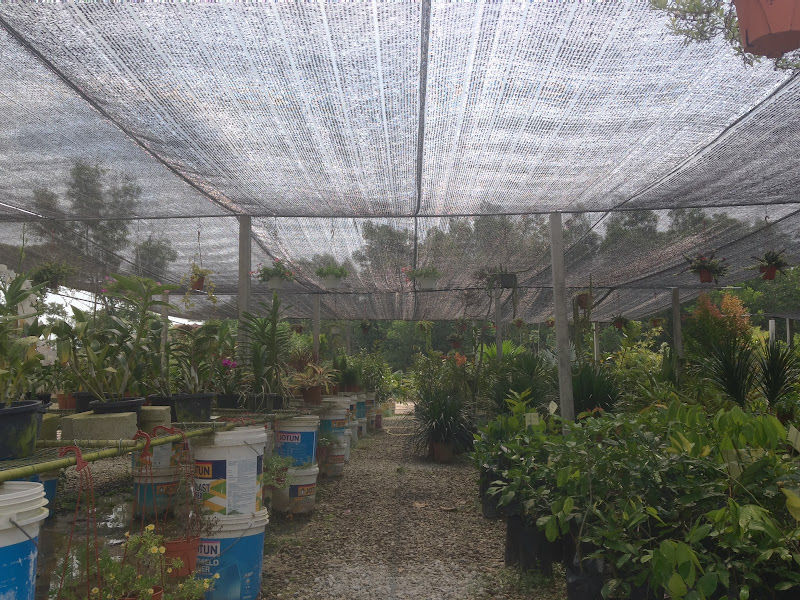 Bros nursery gallery