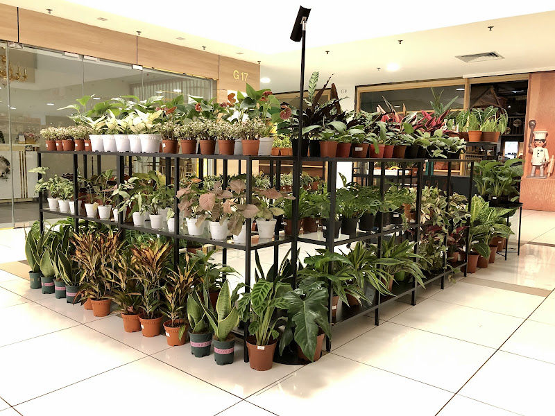 Urban Greenspace Enterprise gallery