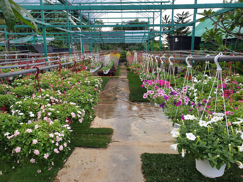 Lot Greens Enterprise gallery