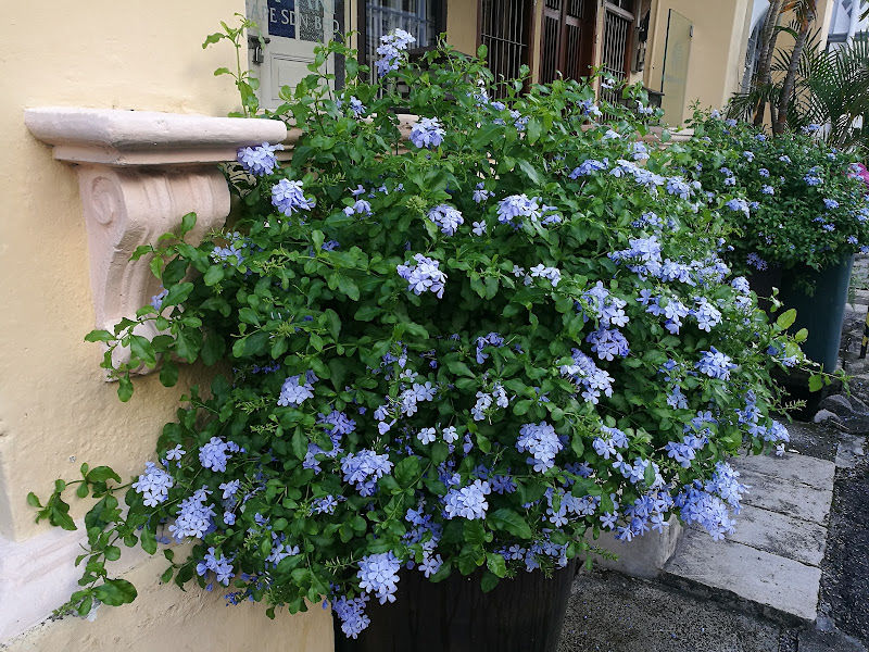 Flora Art Landscape Sdn Bhd