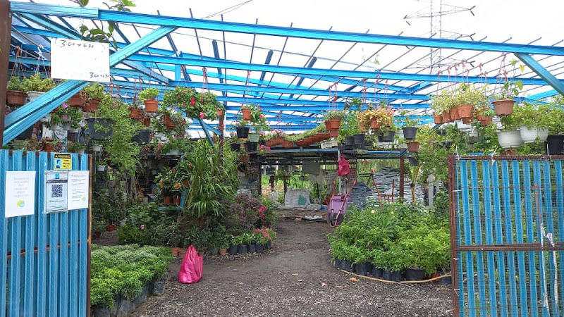 Mofa Bina Garden & Nursery gallery