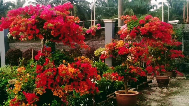 Nano Garden Kuala Selangor gallery