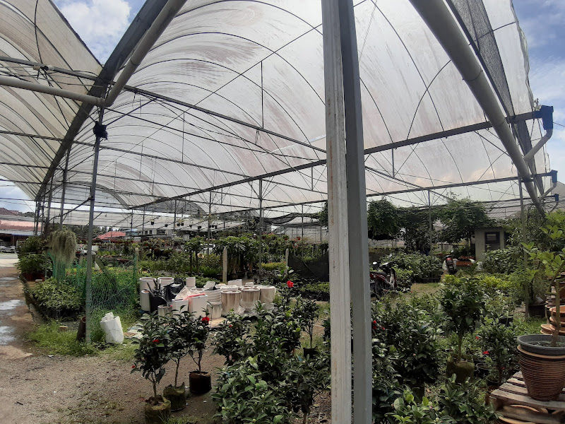 Metas Trading gallery