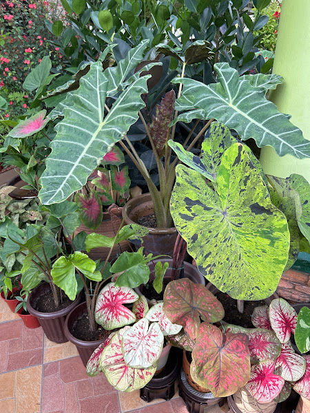 Eny_HomeNursery gallery