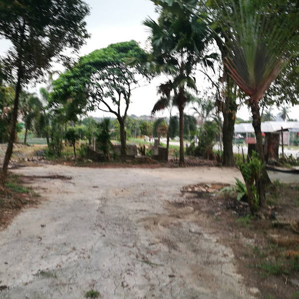 Ashqish Landscaping & Nursery gallery