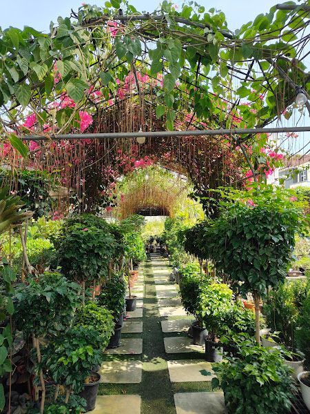 PITTA GARDEN gallery