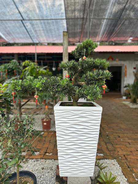 E Garden Greenlife Nursery gallery