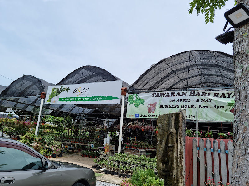 Asow Crafts & Landscaping Sdn Bhd ( Lanscaping & Nusery )