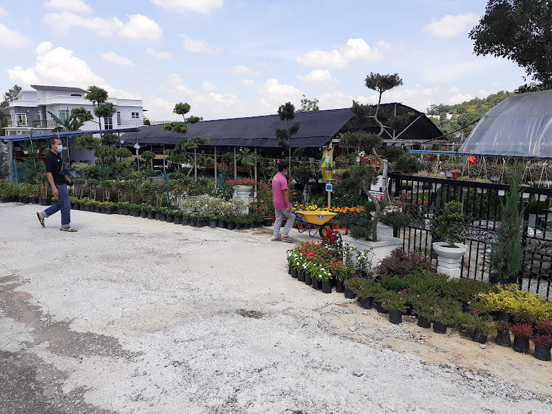 As Salam Greenland Nursery gallery