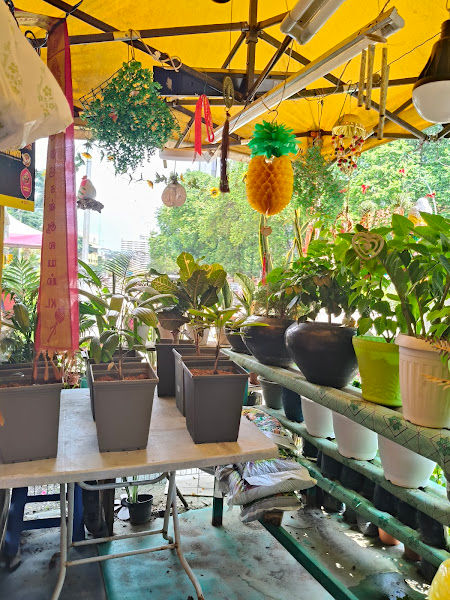 Ramsel Nursery Sentul gallery