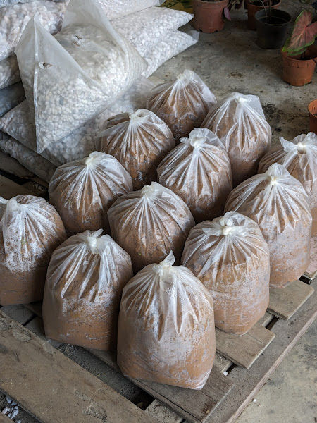 Abdul Rahman & Salwa Nurseri gallery