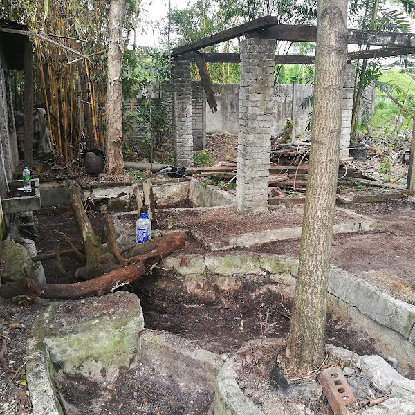 Ashqish Landscaping & Nursery