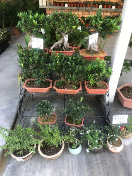 MS Rimbun Emas Enterprise gallery