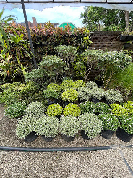 De Signature Garden Centre gallery