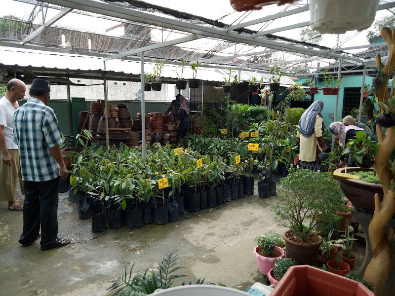 Bumi Hijau Nursery gallery