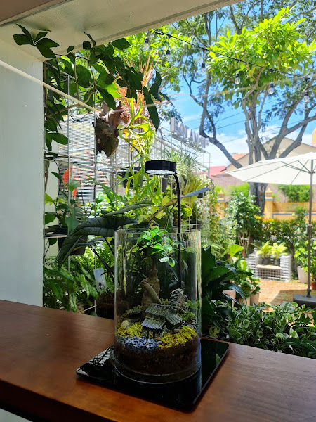 Botanist Plus gallery