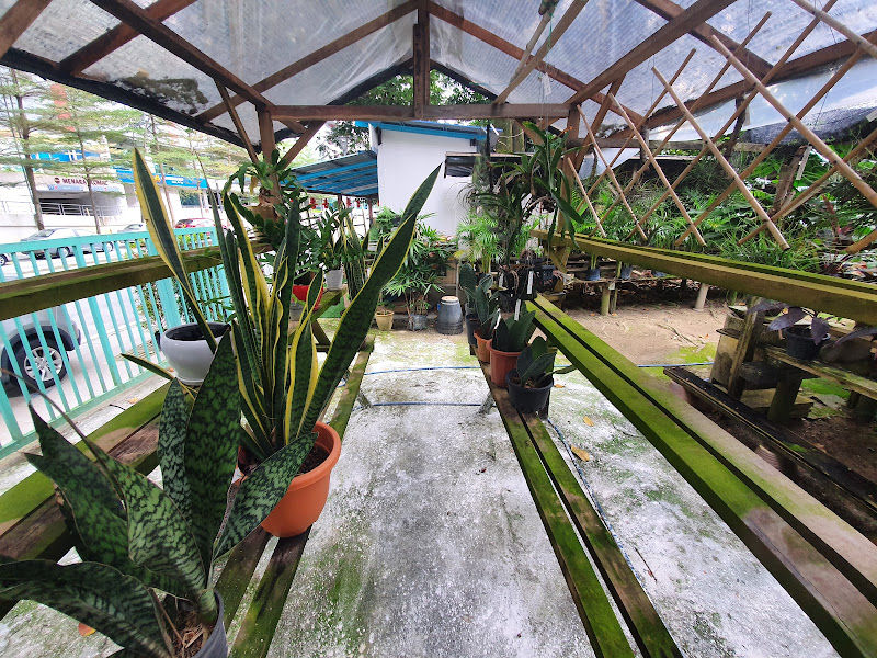 Damansara Nursery gallery