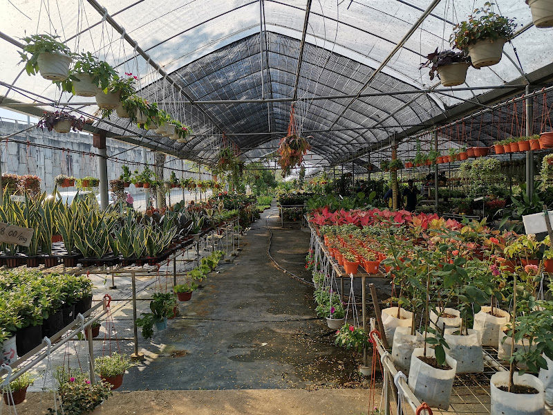 YEW GARDEN SEREMBAN gallery