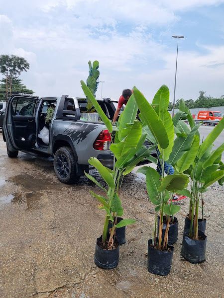 44B Novo Green gallery