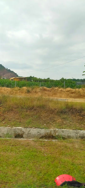 SLSB Nursery gallery