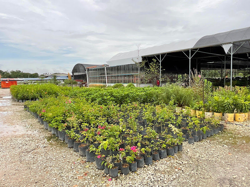 Za Nursery & Landscaping Malaysia (Selangor) gallery