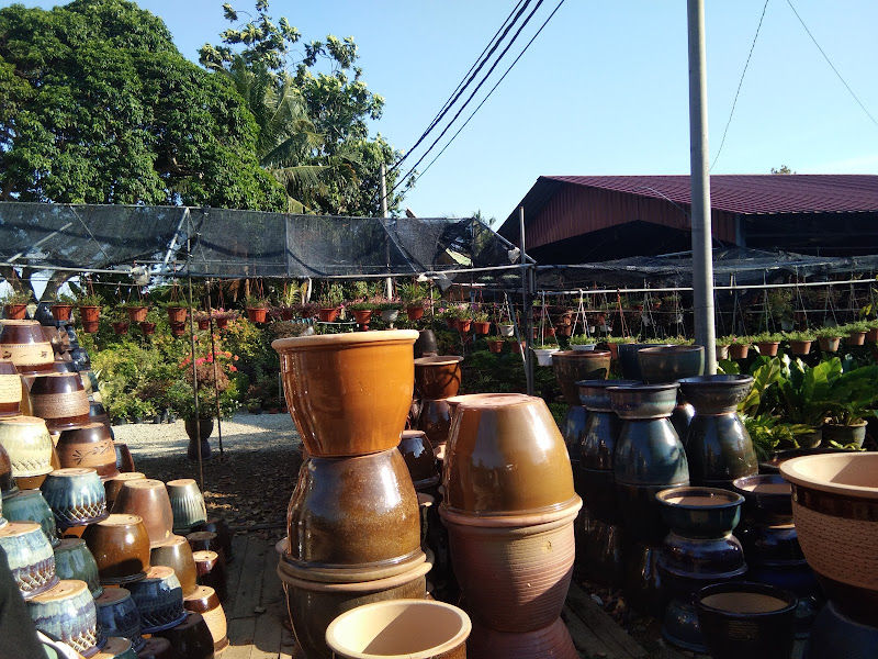 Nursery dan Pasu Tembikar Simpang Lima