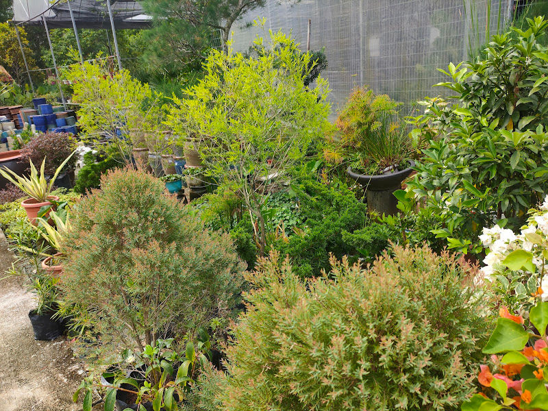 Green Green Pets & Gardens Sdn. Bhd. gallery