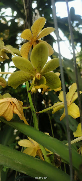 KAMA NURSERY CENTRE gallery